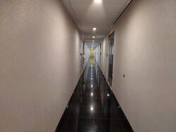 vision-exchange photo thumbnail #9